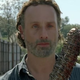 The Walking Dead